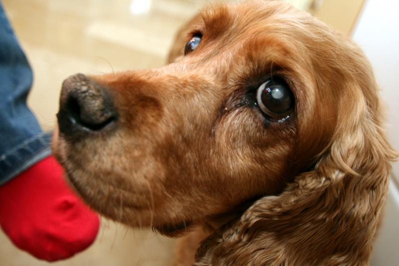 weihnachten2009 144.jpg
