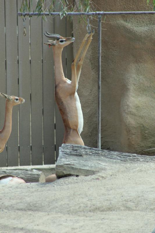 california_2010 1174.jpg
