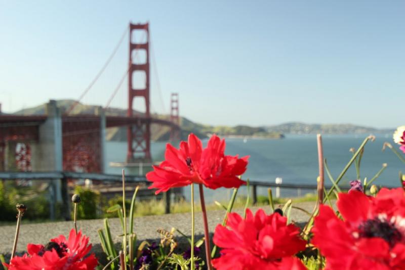 california_2010 891.jpg