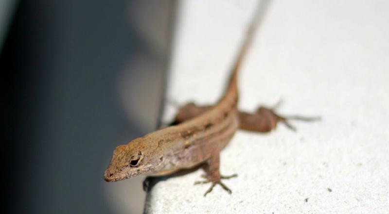 florida2010 023.jpg