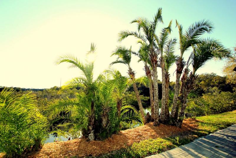 florida2010 056.jpg