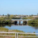 florida2010_01 052.jpg